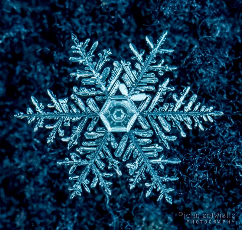 How snowflakes get their distinct and various shapes